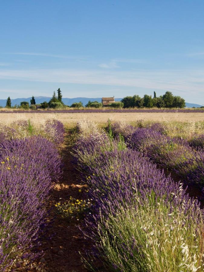 Oasis Tranquille - L'Evasion Au Verdon Греу-ле-Бэн Экстерьер фото